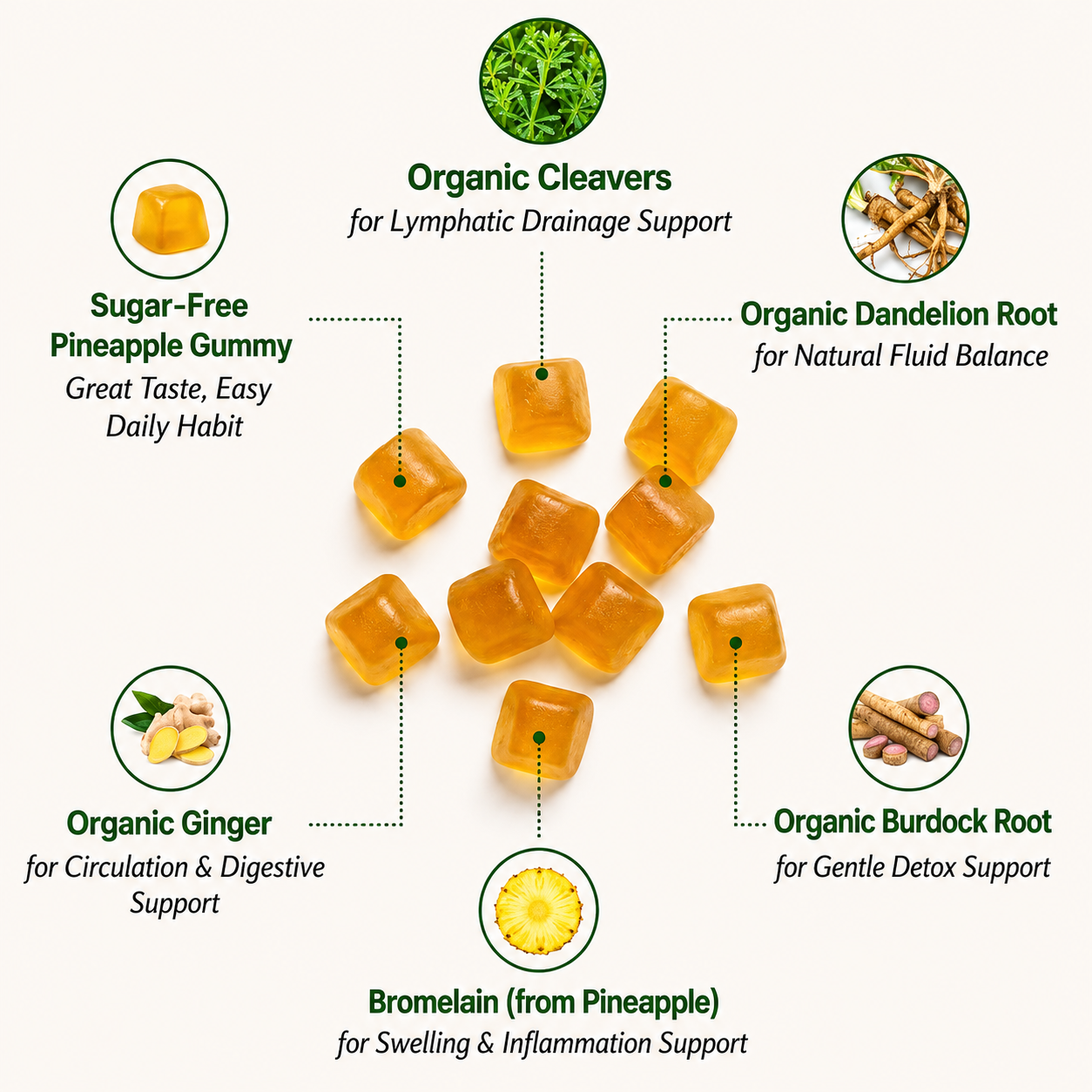 Lymphatic Drainage Gummies | Liver